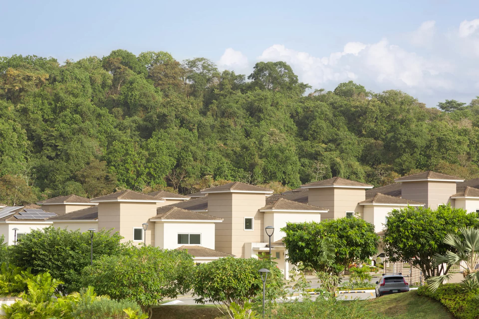 Vista — PH Altos del Parque